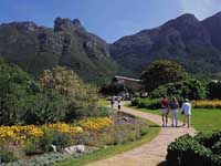 Kirstenbosch.jpg